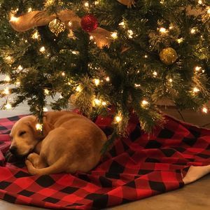 Meet your Posher, Caleb